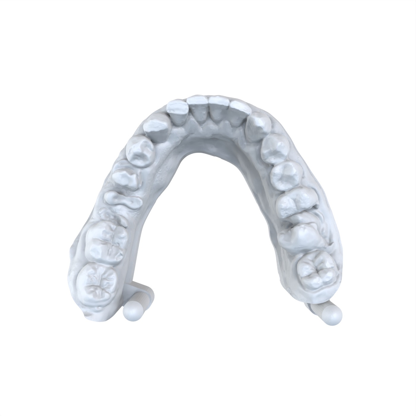 1 PCS Dental Model Preferred 3 - 3D Printing Dental review and price